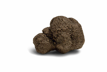 Image showing truffles