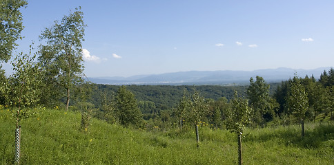 Image showing scenery around Liliental at summer time