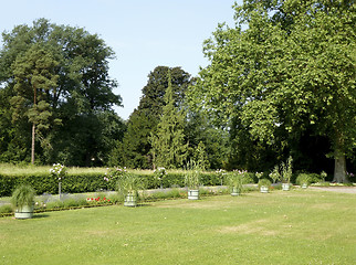 Image showing sunny park detail