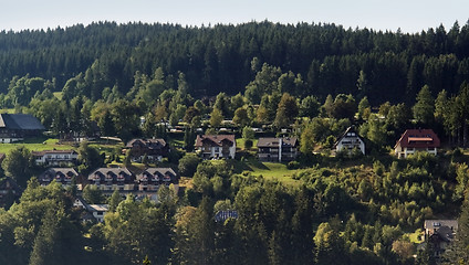 Image showing Black Forest scenery with houses