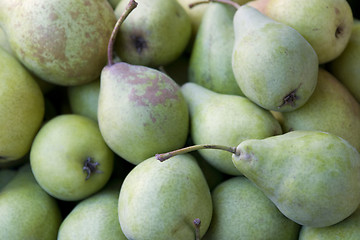 Image showing background with lots of green pears