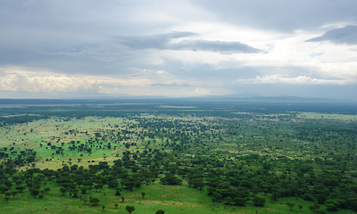 Image showing around Bwindi Impenetrable Forest in Uganda