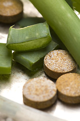 Image showing Aloe vera - herbal medicine 