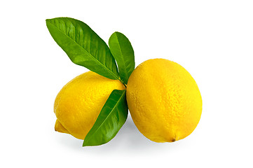 Image showing Lemons two with leaves