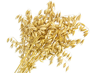 Image showing Oat stalks sheaf