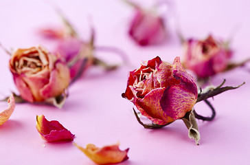 Image showing Dry roses