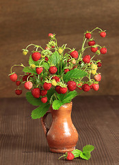 Image showing Wild strawberry