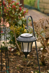 Image showing garden lighting