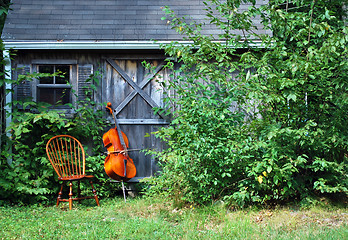 Image showing Cello