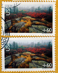 Image showing USA stamp