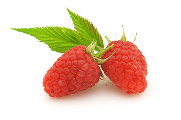 Image showing Raspberry with leaves