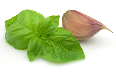 Image showing Garlic with basil