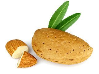 Image showing Sweet almonds