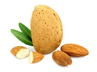 Image showing Almonds