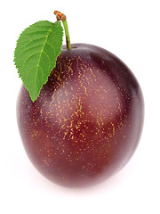 Image showing Sweet plum