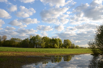 Image showing Winter crops plant field of spring flooding water 