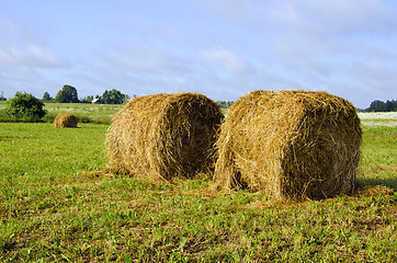 Image showing Twisted haystack in meadow animal feed for winter 