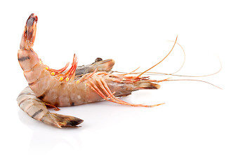 Image showing Black Tiger Shrimp