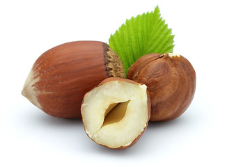 Image showing Hazelnuts with leaves