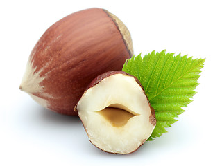 Image showing Tasty hazelnut with leaves