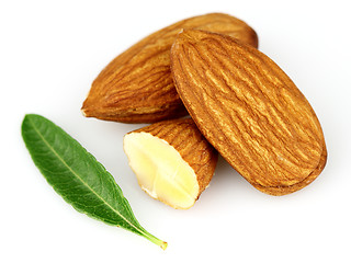 Image showing Almonds kernel