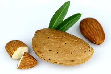 Image showing Dried almond with kernel