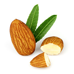 Image showing Almonds kernel with leaves