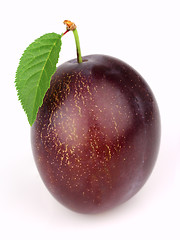Image showing Ripe plum with leaves