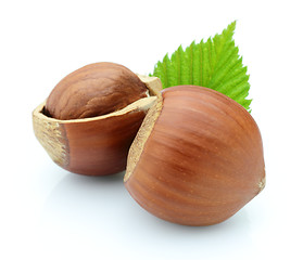 Image showing Hazelnuts with leaves