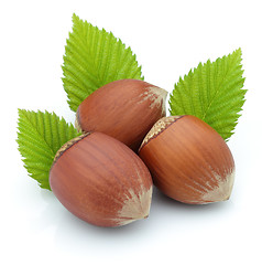 Image showing Hazelnuts with leaves