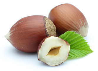 Image showing Hazelnuts with leaves