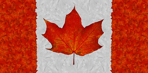 Image showing Canadian flag