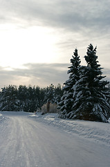 Image showing Winter Landscape