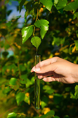 Image showing test-tube with water