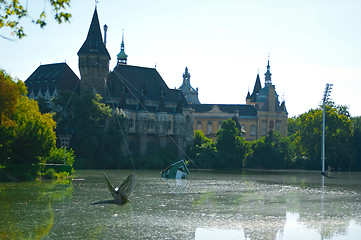 Image showing Vajdahunyad Castle