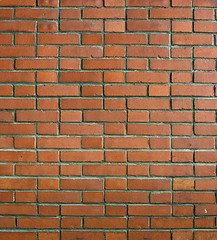 Image showing Brick Wall Texture