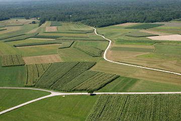 Image showing Meadows and fields. Aerial image