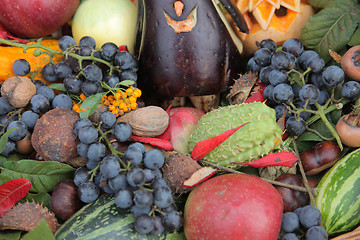 Image showing Autumn Harvest