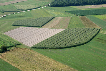 Image showing Meadows and fields. Aerial image