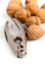 Image showing walnuts and nutcracker