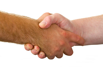 Image showing Shake hands