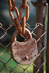 Image showing Rusty padlock, iron chain, net