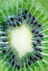 Image showing close up of a healthy kiwi fruit 