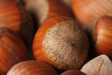 Image showing hazelnut texture