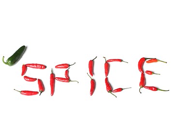 Image showing spice text made from real red chillies