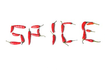 Image showing spice text made from real red chillies