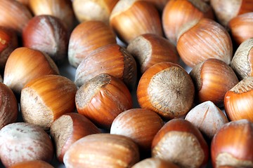 Image showing hazelnut texture