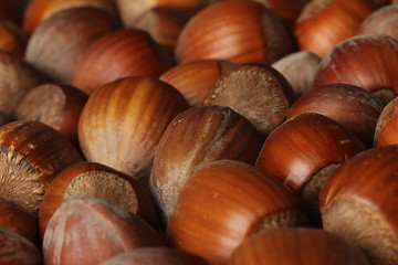 Image showing hazelnut texture