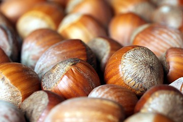 Image showing hazelnut texture