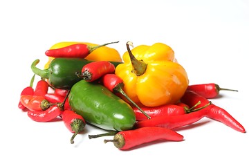 Image showing chillies